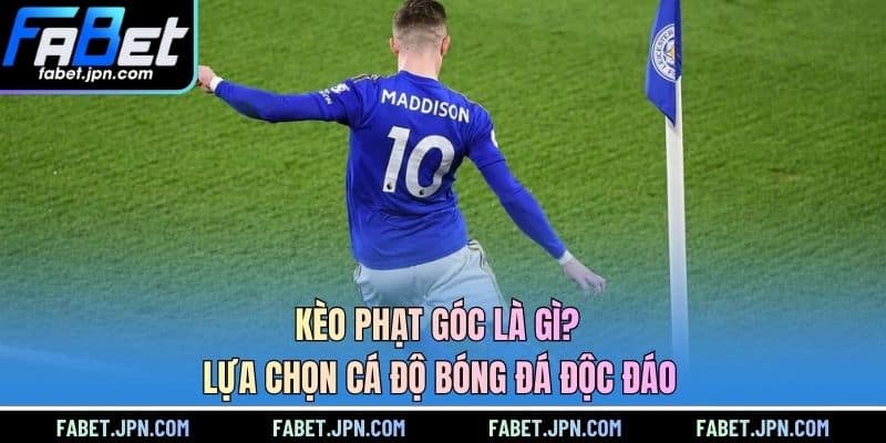 Kèo Dụ - Hướng Dẫn Cách Tránh Bẫy Ăn Tiền Hiệu Quả Nhất